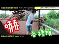 相機被長頸鹿推倒神救援 下腰功力發威餵長頸鹿 泰國動物園safari world 泰國自助旅行系列 當上百隻長頸鹿伸長脖子討吃吃是什麼可愛模樣？part.3第三集