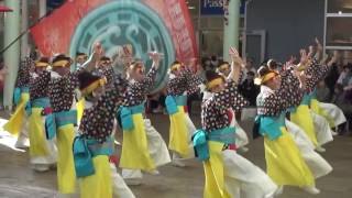 ワカバウォークよさこい2016 ～ 舞人