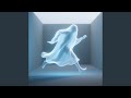 CHASING THE ECHO