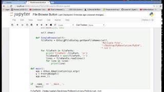 PyQt4 (Python GUI) 6: File Browse Button