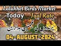 Today Lalukhet Birds Market | Jaal Rate latest update | 04-August-2024 | #lalukhetbirdsmarket