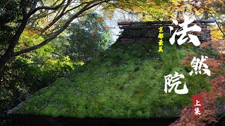 【京都最美法然院】(上集)  法然院的起源｜曾經的淨土宗道場｜淨土宗起源