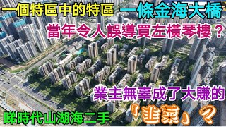 珠海此區當年好多盤當橫琴樓賣｜一條金海大橋令兩地連城一體？｜有無買家真以為用10000頭買了橫琴？帶你看時代山湖海二手｜當年勇字當頭做開荒牛的買家，被迫成了賺大錢的韭菜？