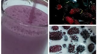 മൾബറി ജ്യൂസ്‌ || mulberry juice           ||  variety juice 😋 || raspberry juice