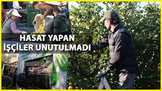 Erdemli'de Limon Hasadı Yapan İşçilere Belediyeden Çorba