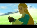 Link's Loves - Breath of the Wild & Age of Calamity