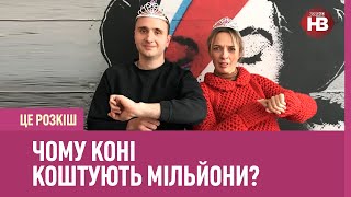 Це розкіш: Чому коні коштують мільйони?