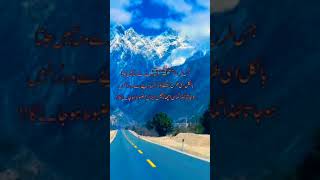 short Video new status Sufi golden line write Baber Ali edition new Islamic Golden line new Whatsapp