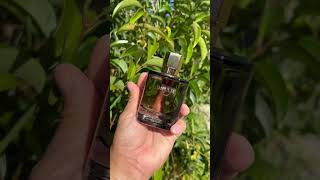 IMPULSE OUD by Zimaya || Maison Francis Kurkdjian Oud Satin Mode Clone