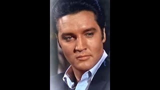 Acapella Elvis 2024 