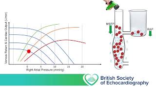 Level 1 - Volume assessment (part 1)