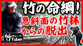 【竹虎】絶対絶命！？虎竹の里の急斜面！竹林で竹の命綱で脱出 竹チューバー竹虎四代目の世界 Tiger Bamboo