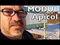 Apicultura - Module Apicole  - Pavilion Bee Vlog