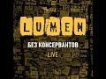 Волк live