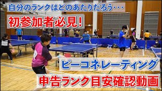 ピーコネレーティングランク目安確認動画