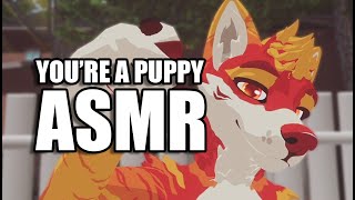 You’re a puppy but it’s ASMR 🐕 (whispers, brushing, petting and more)