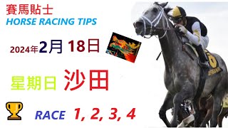 「賽馬貼士」🐴  2023 年 2 月 18 日 沙田🐴    香港賽馬貼士  HONG KONG HORSE RACING TIPS  🐴 RACE  1  2  3  4