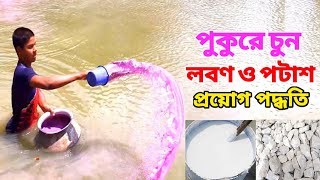 পুকুরে চুন লবন ও পটাশ প্রয়োগ পদ্ধতি || Liming of Fish Pond |