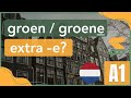 When to add an e? | Adjectives in Dutch | Dutch Grammar