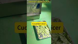 Cucumber slicer | small leafy stem vegetable chopping cutting machine | Vegetable stuffing machine