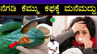 ನೆಗಡಿ, ಶೀತ, ಕೆಮ್ಮು, ಕಫ, ಅಲರ್ಜಿ 2 ನಿಮಿಷದಲ್ಲಿ ಮುಕ್ತಿ | Home remedy for cough dry cough cold in Kannada