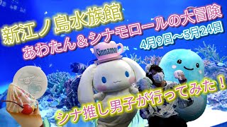 【新江ノ島水族館×シナモロール】シナモン推し男子が行ってみたら幸せ過ぎて泡になって消えかけた。けど大丈夫だった。【あわたん＆シナモロールの大冒険】