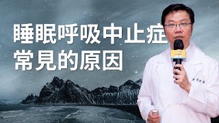 睡眠呼吸中止症常見的原因有什麼？ft.大林慈濟黃俊豪醫師｜科林睡得美｜【止鼾找回性福藍鳥】