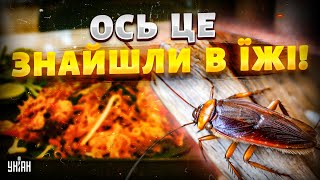 Це ЖАХ! Скандал у київському ресторані: ось, що знайшли в їжі. Повторна перевірка теж шокувала