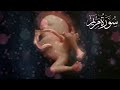 surah maryam for pregnancy beautiful recitation for a beautiful baby