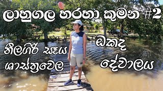 ලාහුගල හරහා කුමන වනෝද්‍යානයට | VLOG #02 | Kumana National Park #okada  #neelagairiseya