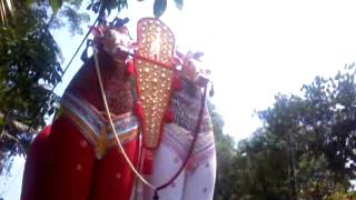 Palamel kara nandikeshan pulling at Padanilam Sivarathri, Alappuzha 2014