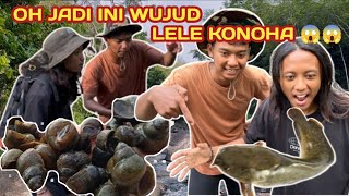 BERBURU LELE KONOHA DAN KEONG EMAS BERSAMA DEDE INON SUPER KW