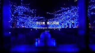 中目黒 青の洞窟 イルミネーション with クリスマスソング - Nakameguro Illumination 2014 Tokyo with Christmas Song - 目黒川 [HD]