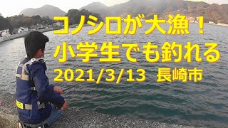 コノシロがサビキで大漁　ルアーでシーバスも狙う　長崎県長崎市