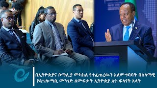 በኢትዮጵያና ሶማሊያ መካከል የተፈጠረውን አለመግባባት በሰላማዊ የዲፕሎማሲ መንገድ ለመፍታት ኢትዮጵያ ጽኑ ፍላጎት አላት