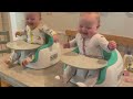 funniest chubby twin babies playing together cutest chubby video