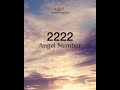 2222 ANGEL NUMBER - Meaning Revealed | Why You Keep Seeing 2222 All The Time