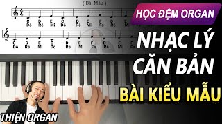 Hướng Dẫn Học Đàn Organ Căn Bản (BÀI 1) KIỂU MẪU - THIỆN ORGAN
