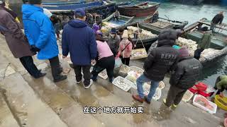 过元旦小伙去码头买海鲜，100块买了四种海鲜，北海的海鲜真便宜