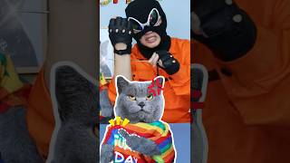 The Best Magic Reveal!😱 Watch It Till The End!🔮 #funnycat #magic #funnymemes #trending