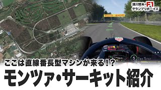 【F12021 イタリアGP編】ここは直線番長型マシンが来る！？ モンツァサーキット紹介【津川哲夫のF1レース言いたい放題】