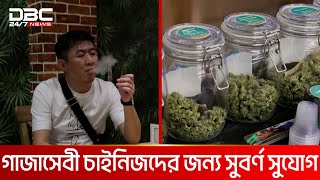 গাঁজার দোকান চালু হয়েছে থাইল্যান্ডে, ক্রেতা চীনা পর্যটকরা | DBC NEWS SPECIAL