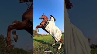 Beautiful horse movement with attractive girl🤩|حرکت زیبا اسب با دختر جذاب🤩#animals #horse #girl #اسب