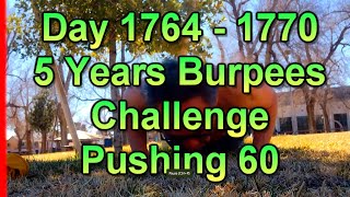 100 Burpees a Day for 1 year Results. Muscle Ups. Prison Burpees Challenge #fitover50