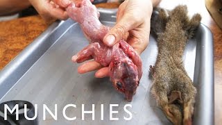 MUNCHIES Presents: Roadkill Connoisseur