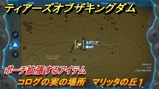 ゼルダの伝説ティアーズオブザキングダム　コログの実の場所　マリッタの丘１　ポーチ拡張するアイテム　＃７０４　【ティアキン】