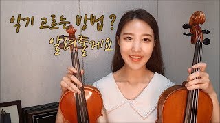 [말랑뮤즈 뮤직] 처음 악기하시는 분들 주목! 나에게 맞는 바이올린, 비올라 고르는 방법? 말랑뮤즈가 알려줄게요!