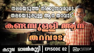 ആനകേരളത്തിന്റെ നെറുകയിൽ വാണിരുന്ന കാലം | കടുവ രാമൻകുട്ടി | EPISODE 02