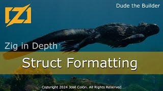 Zig in Depth: Struct Formatting