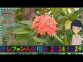 テレフォン人生相談🌻 生きるとは自分の器を知り今を一歩づつしっかり進むこと 大原敬子＆勝野洋